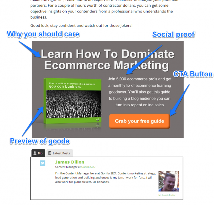 Gorilla SEO Successful Business Blog CTA Example