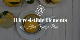 11 Irresistible Elements of a Killer Squeeze Page