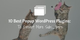 10 Popup WordPress Plugins To Convert More Subscribers