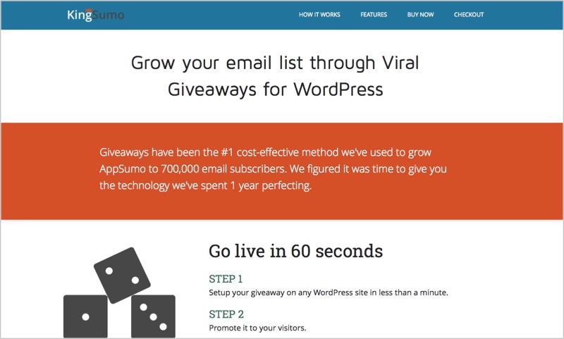 KingSumo giveaways example as lead magnet idea